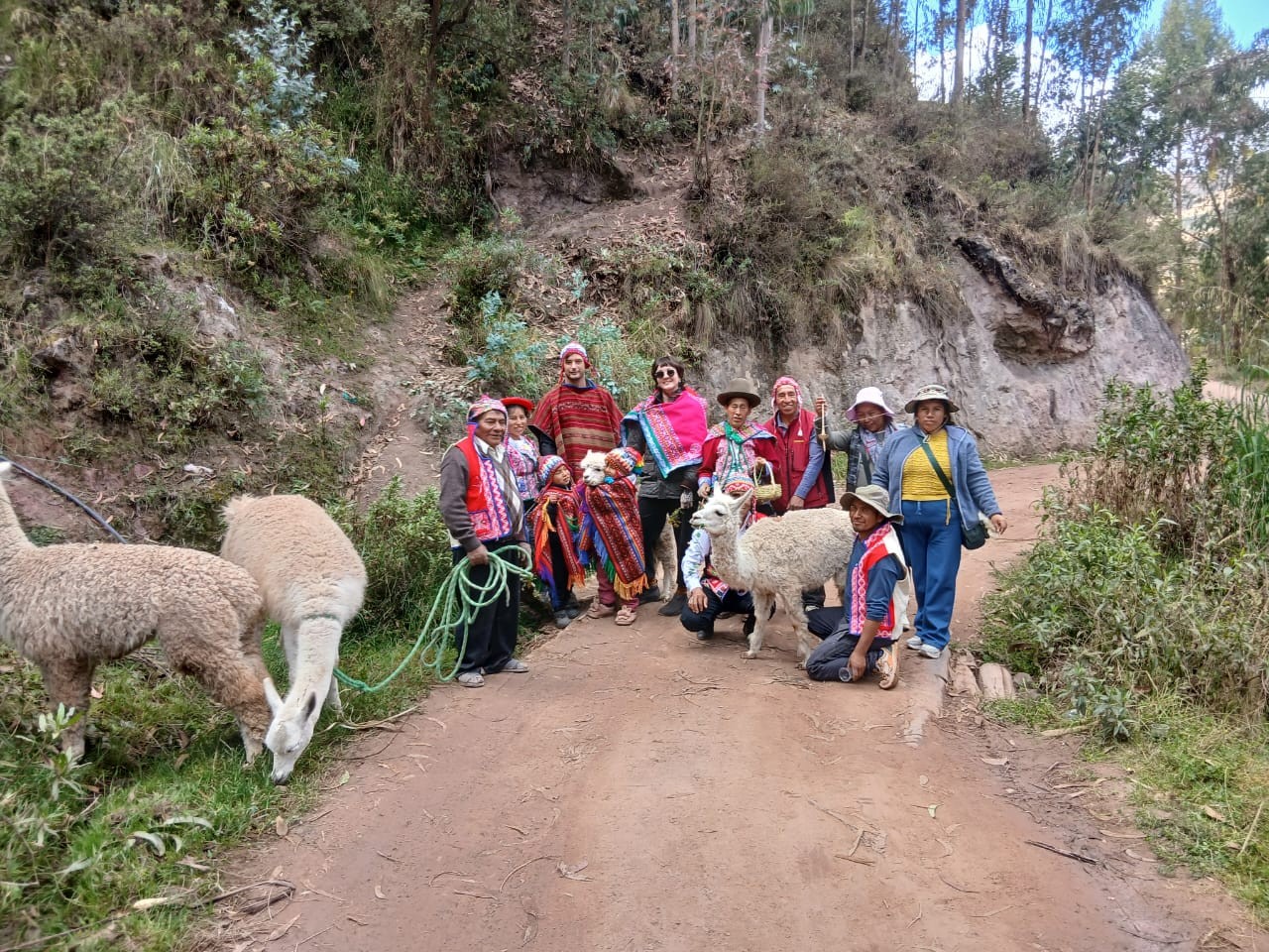 Grupo completo con llamas en el camino hacia la comunidad de Kallarayan (Qallarayan)