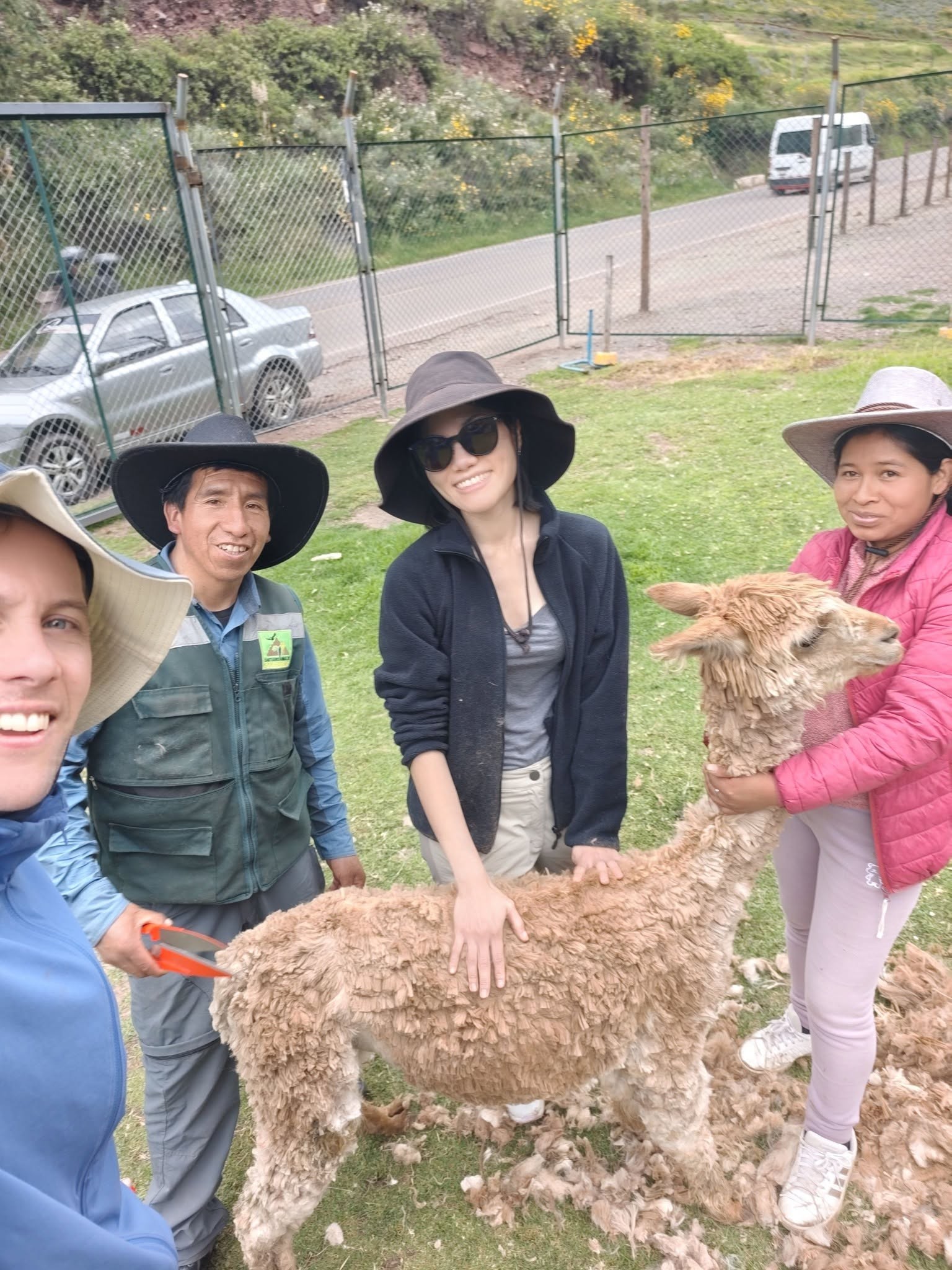 Contacto con las llamas de la comunidad de Kallarayan