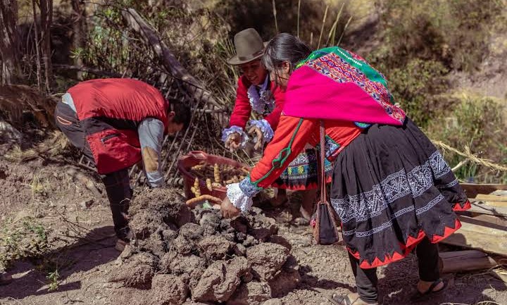 Preparación de las piedras para la pachamanca