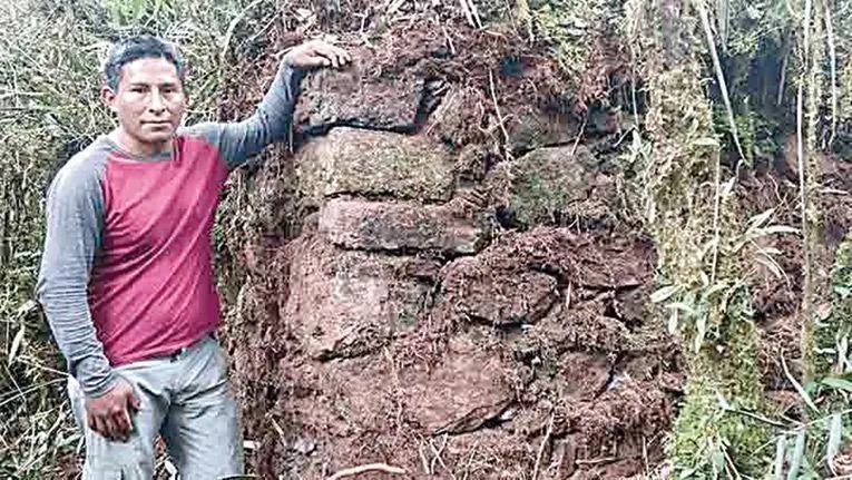 Muro de piedra cubierto de musgo, sitio piramidal de Lacco Mapacho, Toporaké